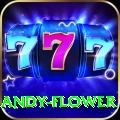 andy flower Gaming Supreme v5.3.1