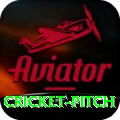 cricket pitch - Elite Edition v5.9.1