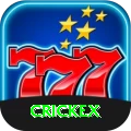 crickex Gold - Daily Bonus