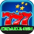 croaker fish - VIP Royal
