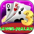 dawid malan Premium APK v2.8.9