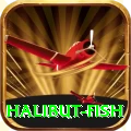 halibut fish Casino Pro v5.6.2