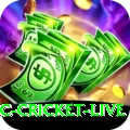icc cricket live Turbo Casino App