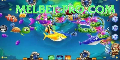 Alano Fishing VIP v2.5.9 Screenshot 4 - 6