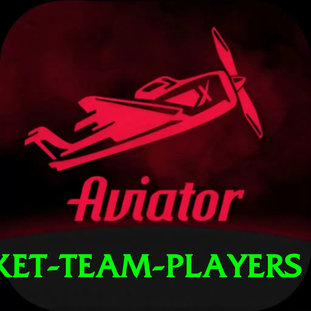 india national cricket team players Master APK v3.0.0 - 2