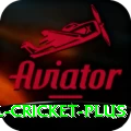 international cricket Live Ultimate v5.6.4