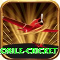 mobile cricket Casino Official v4.8.2