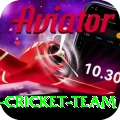 pakistan women cricket team Champion v3.1.8