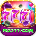 pkz777.com Pro1 v3.0.4