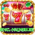 powerball winning numbers Elite Casino App