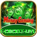 smart cricket live Royal - Daily Bonus
