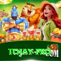 tojay Pakistan Extreme v2.5.9