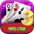wc t20 - Gaming Deluxe