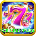willow cricket King - Casino & Slots